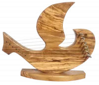 Photoroom-20250117_101338-no-bg-preview (carve.photos)