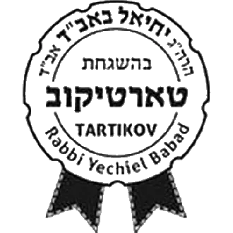 rabbi-ekhiel-babad-khasidut-tartikov-nyu-york