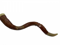 Shofar covered with leather