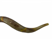 Shofar Noah's Ark_5