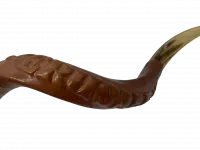 Shofar covered with leather_2