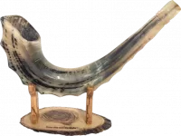 Shofar ram xl with waves on the sides of the shofar_2