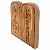 Photoroom-20250117_143708-no-bg-preview (carve.photos)