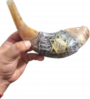 Shofar ram, silver and gold plated, Star of David pattern, handmade