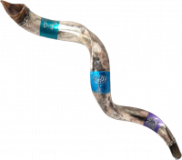 Silver plated shofar is with painting bracelet