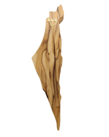 Photoroom-20241112_123057-no-bg-preview (carve.photos)