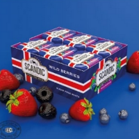 Конфеты со вкусом лесных ягод без сахара SCANDI