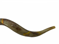 Shofar Noah's Ark_5