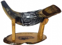 Shofar ram, silver and gold plated, with a menorah pattern, handmade_2