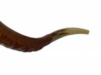 Shofar covered with leather_3